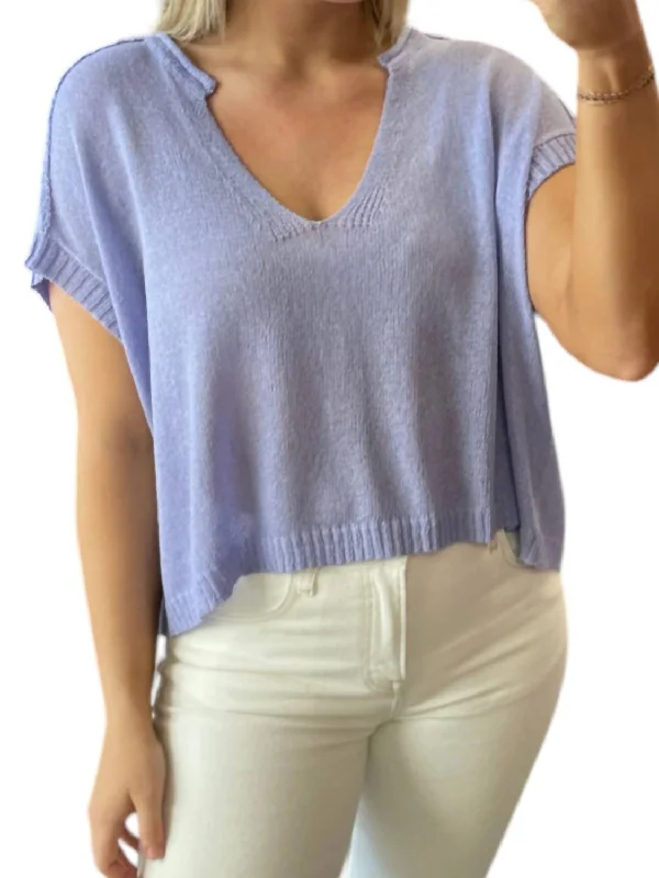 Lightweight V-Neck Knit Top In Periwinkle